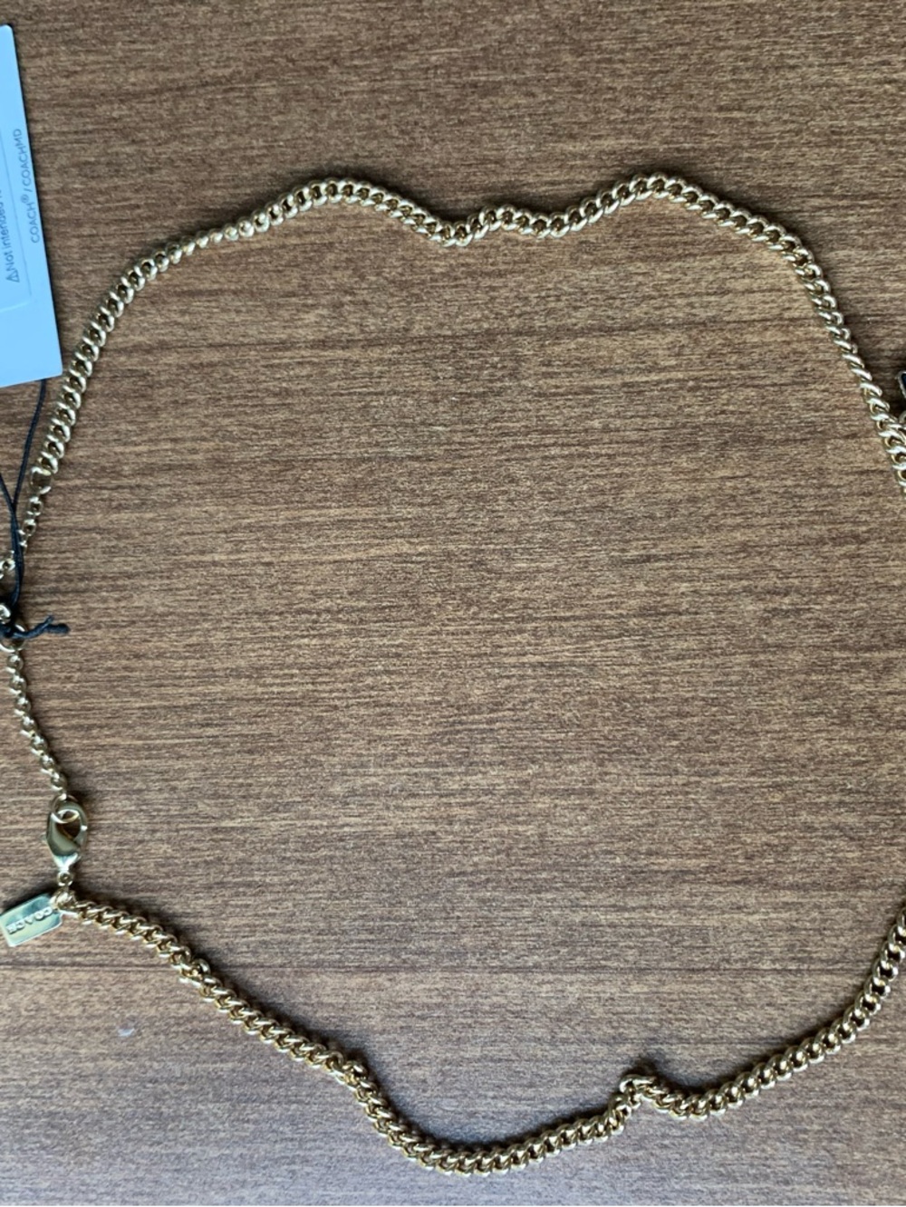 Coach Gold Tone Chain Necklace with Branded Tag - Picture 3 of 6